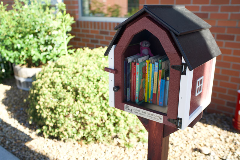 Little Free Library in Madras