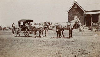 Horse drawn carriage