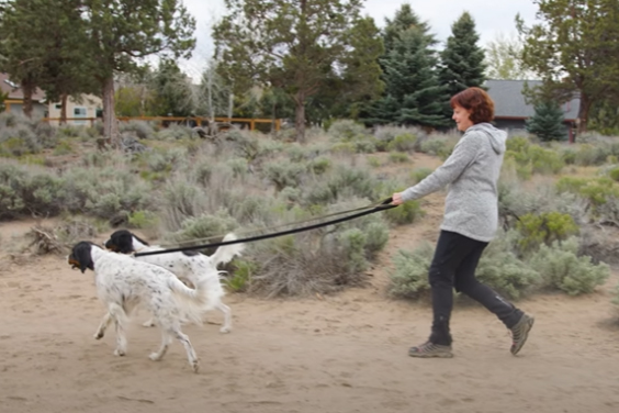 woman walking her two dogs