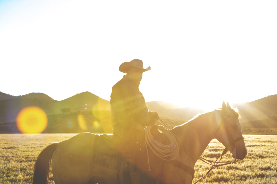 cowboy on horseback in silhouette with sunbeams