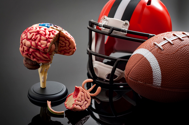 brain model with sports equipment