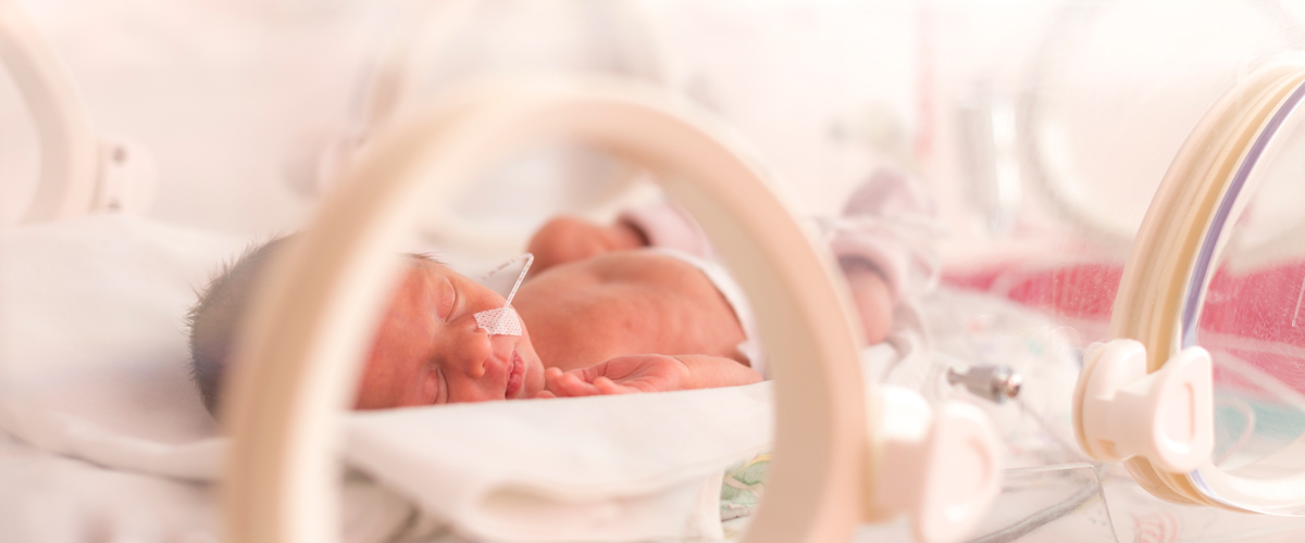 premature baby in an incubator in the NICU